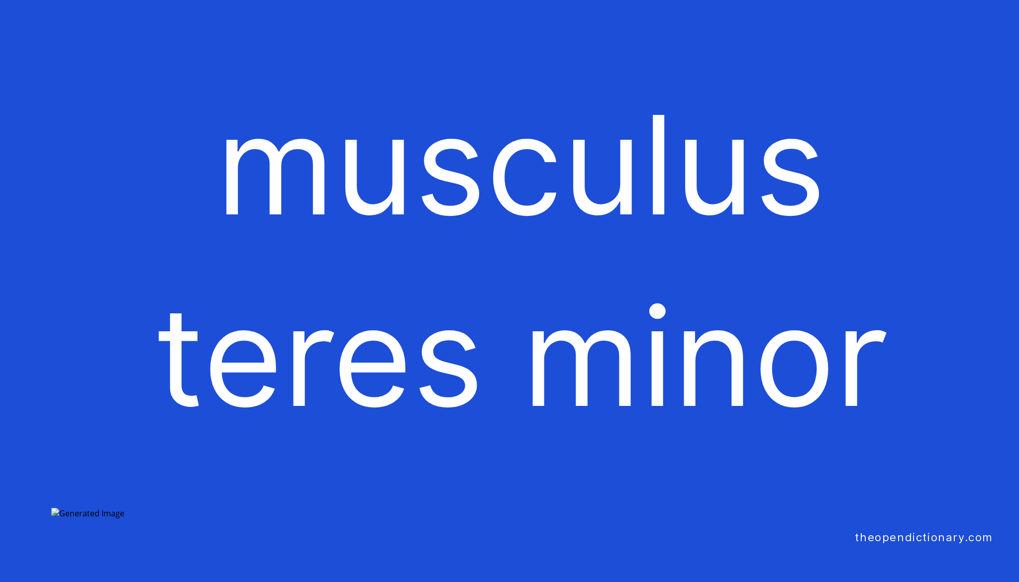 musculus-teres-minor-meaning-of-musculus-teres-minor-definition-of